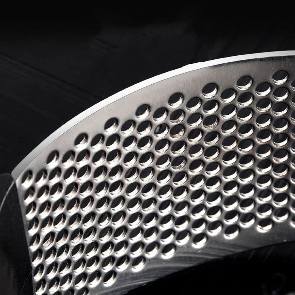 Manual Stainless Steel Garlic Press & Mincer